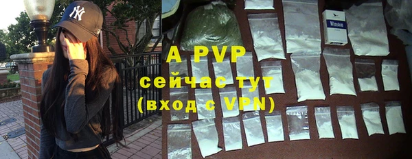 спиды Арсеньев