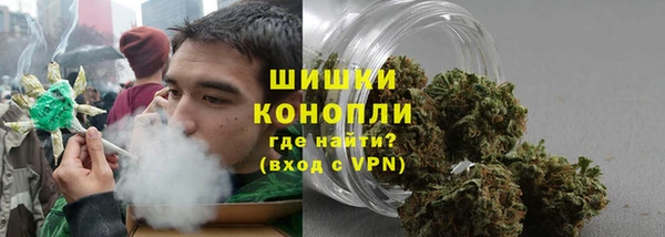 сатива Баксан